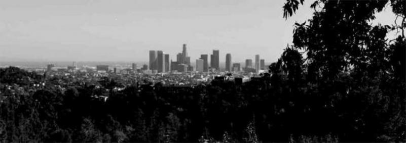 view of Downtown Los Angeles from the Hollywood Hills.